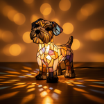 Orgullo de Terrier