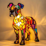 Boxer Splendide